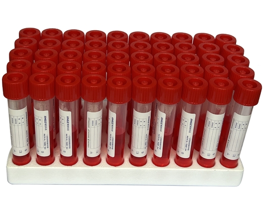 PP 5ml-10ml Virus Sampling Kit Vtm Sampling Tube Dengan 2 pcs Flocked Swab